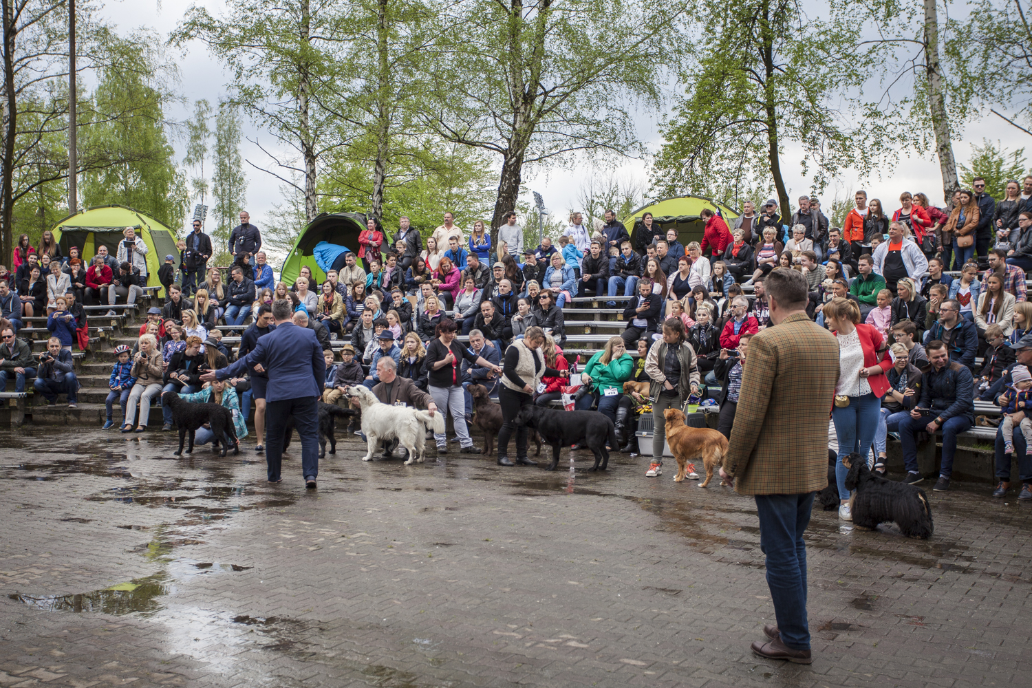 XXXV Krajowa Wystawa Psów Rasowych