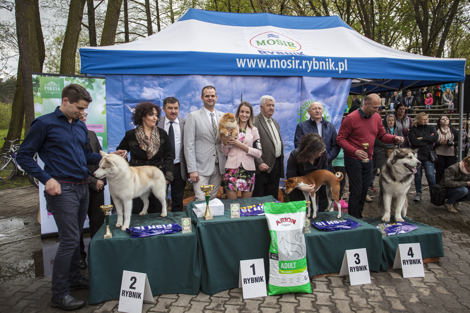 XXXV Krajowa Wystawa Psów Rasowych