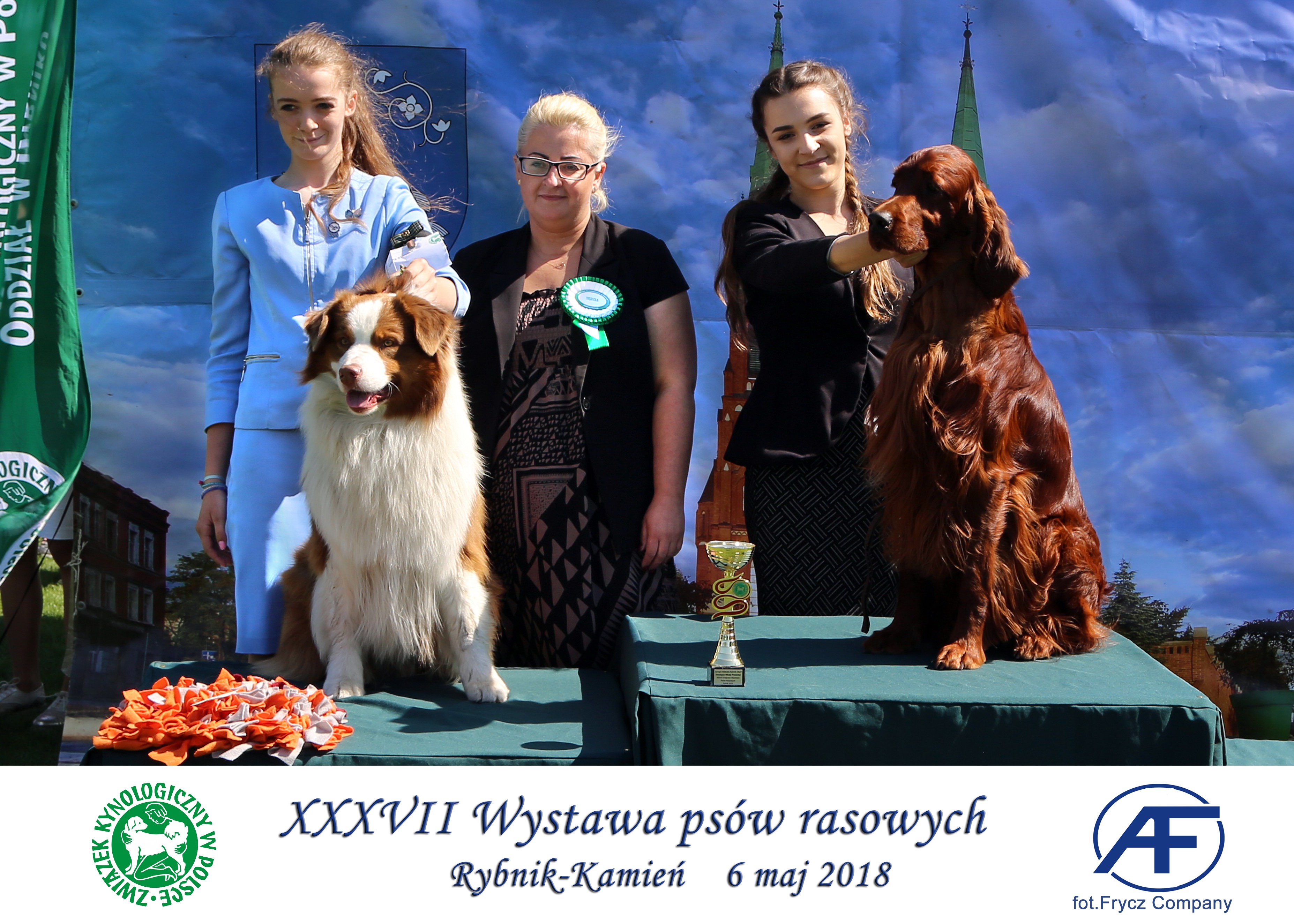 Krajowa Wystawa Psów Rasowych w Rybniku - 6.05.2018