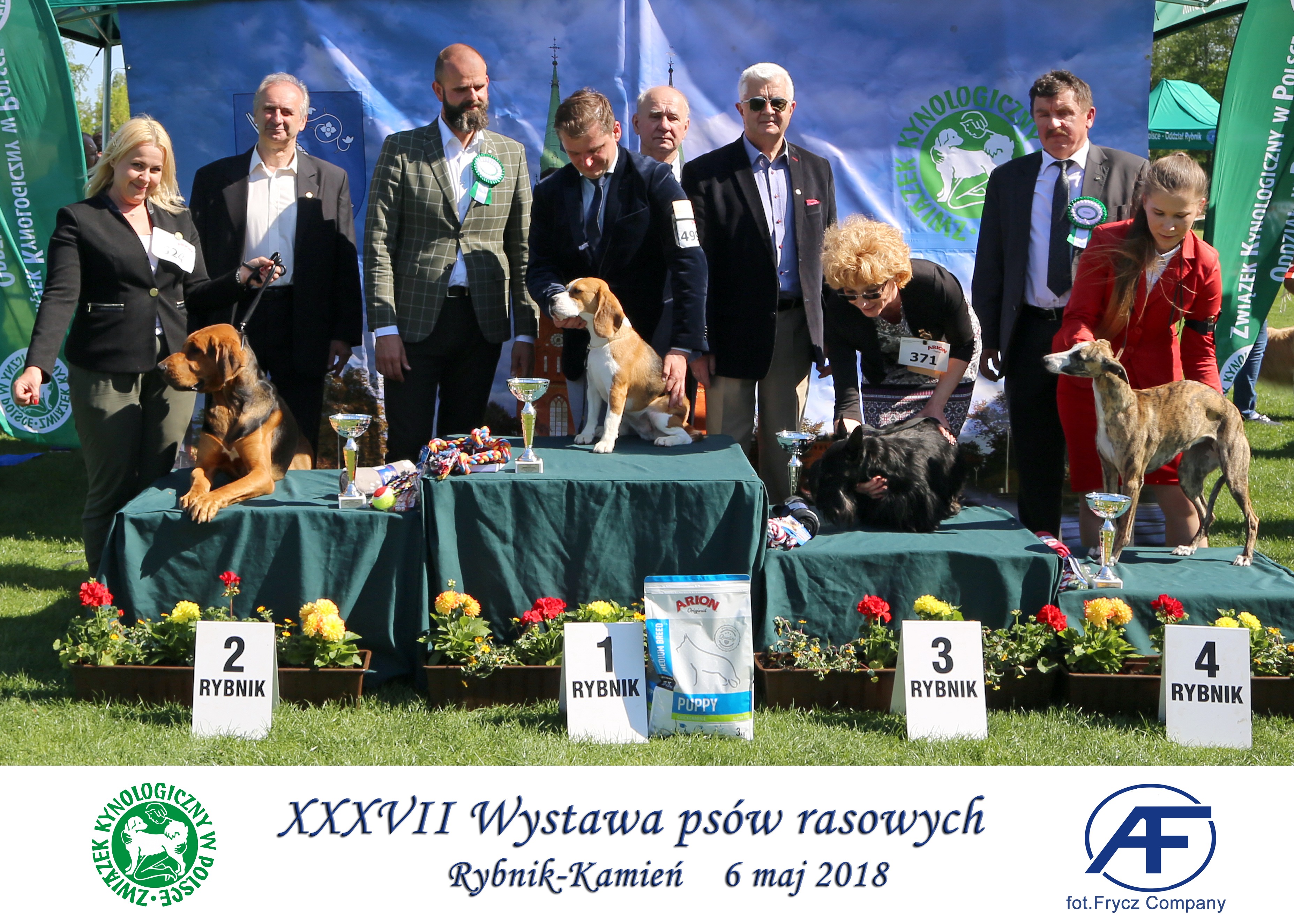Krajowa Wystawa Psów Rasowych w Rybniku - 6.05.2018