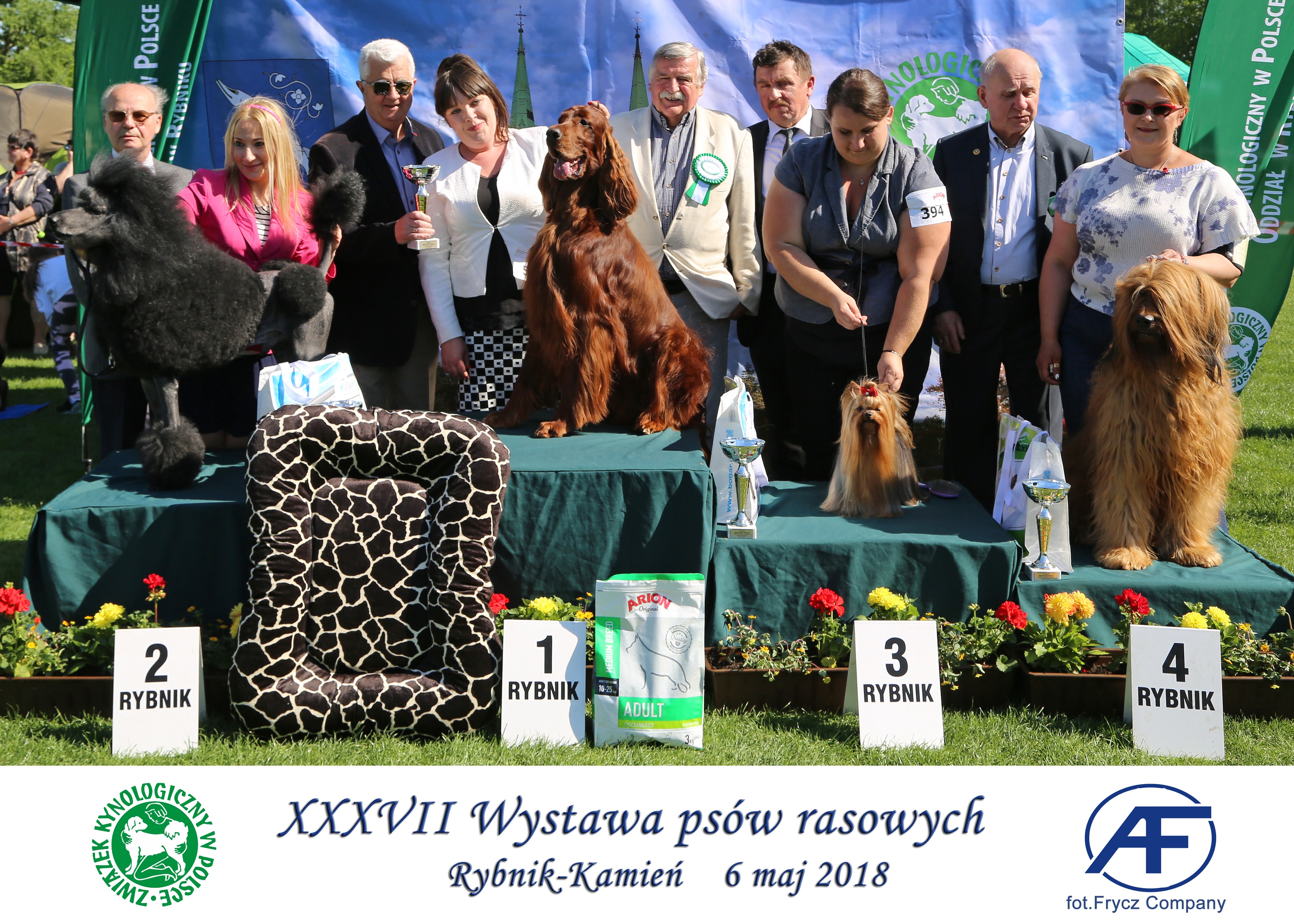 Krajowa Wystawa Psów Rasowych w Rybniku - 6.05.2018