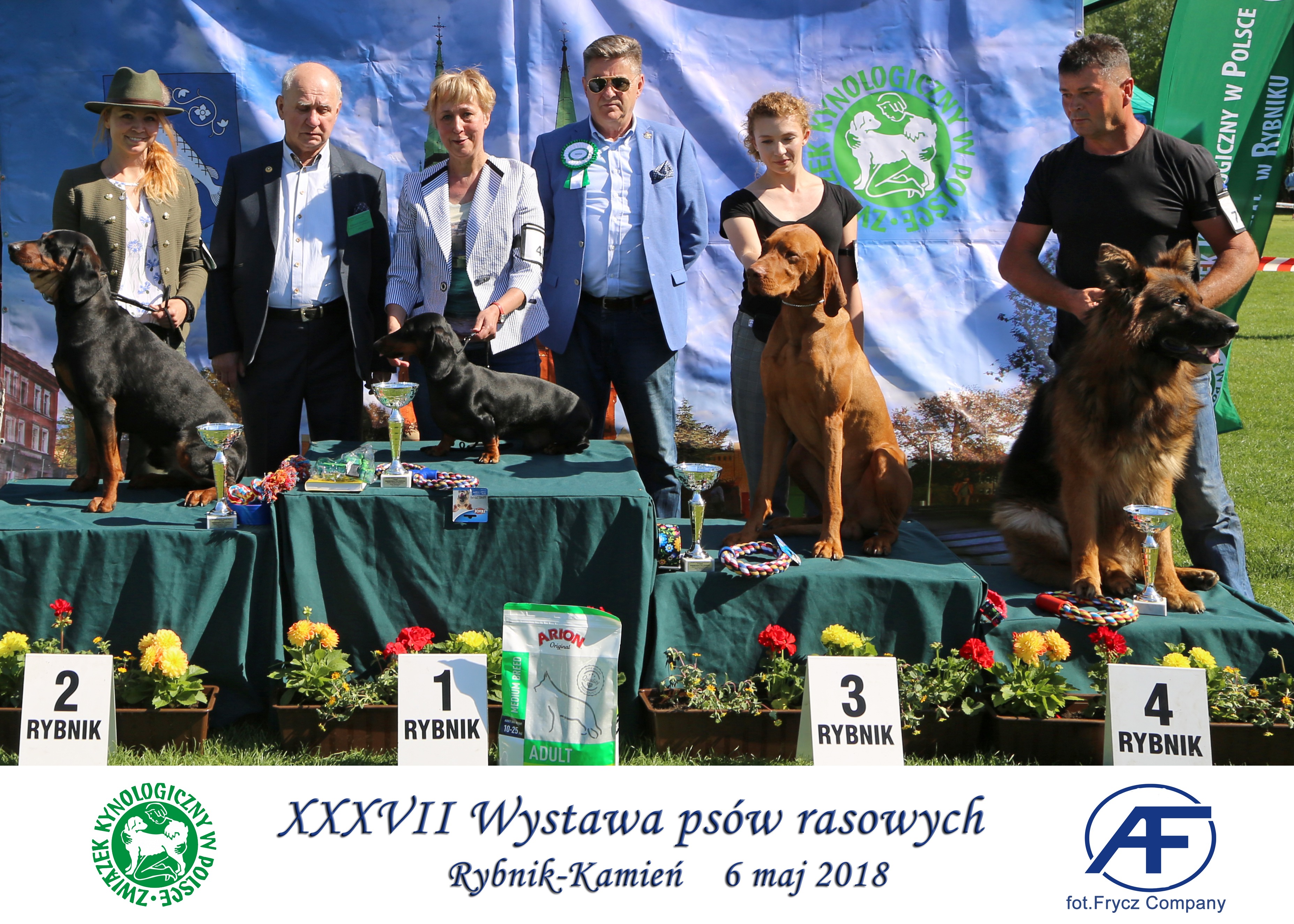 Krajowa Wystawa Psów Rasowych w Rybniku - 6.05.2018
