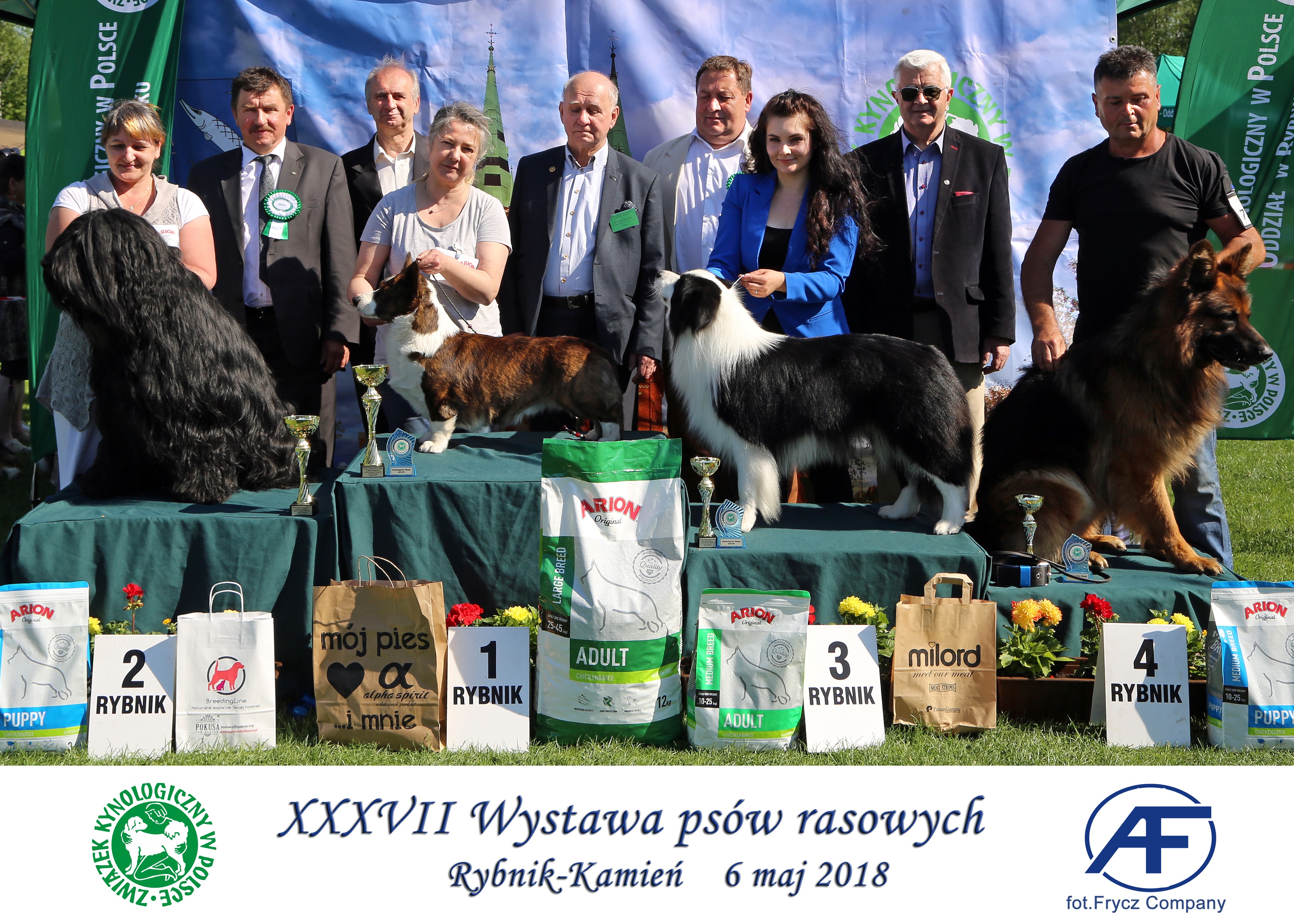 Krajowa Wystawa Psów Rasowych w Rybniku - 6.05.2018