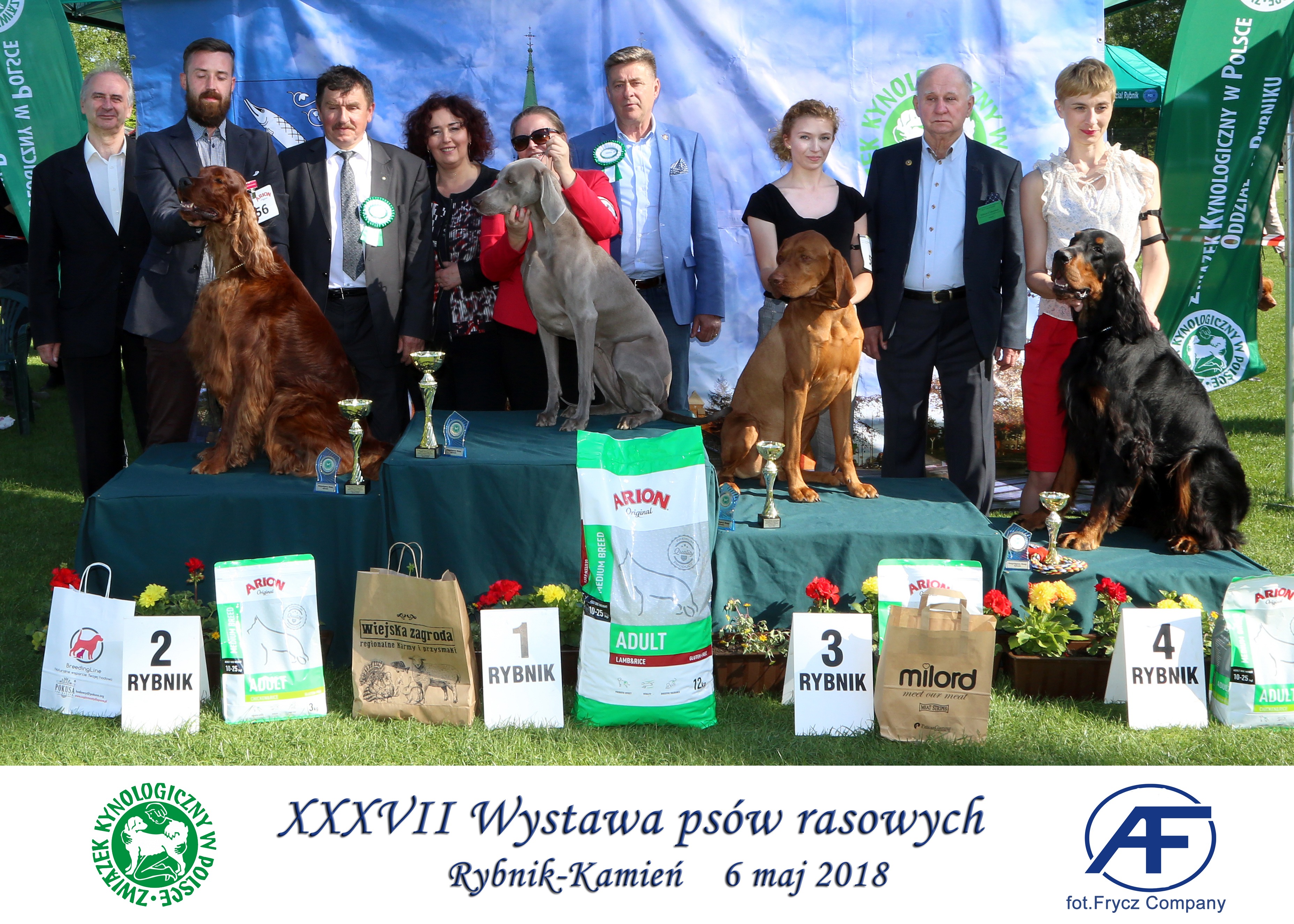 Krajowa Wystawa Psów Rasowych w Rybniku - 6.05.2018