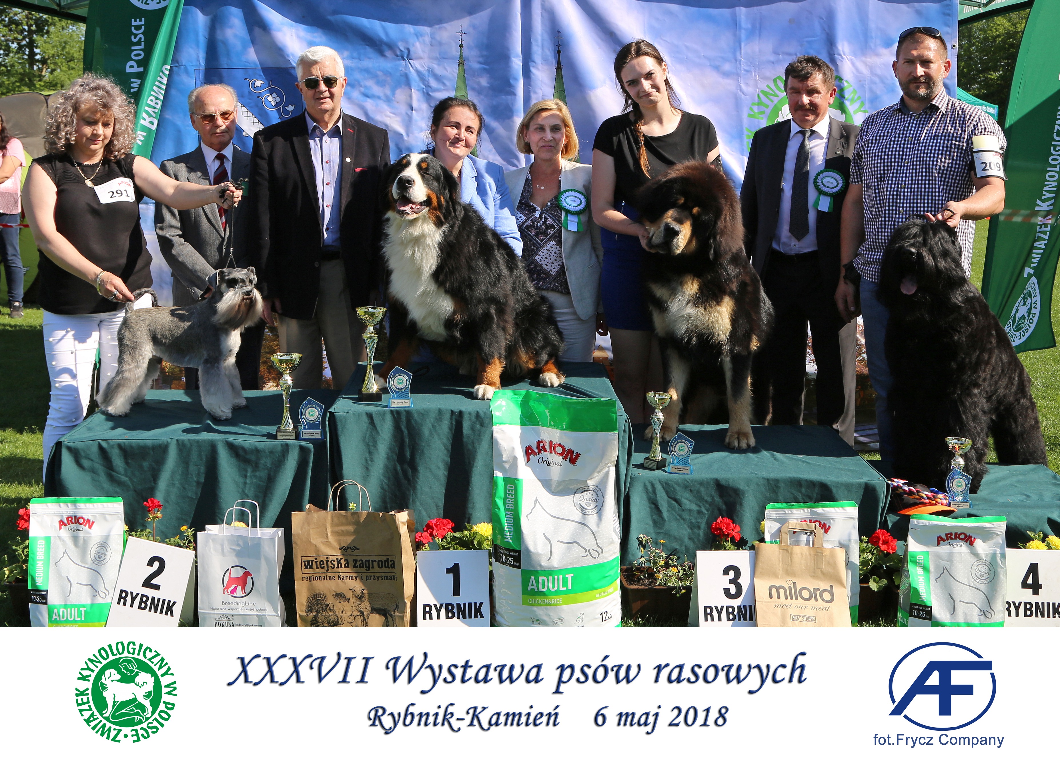 Krajowa Wystawa Psów Rasowych w Rybniku - 6.05.2018