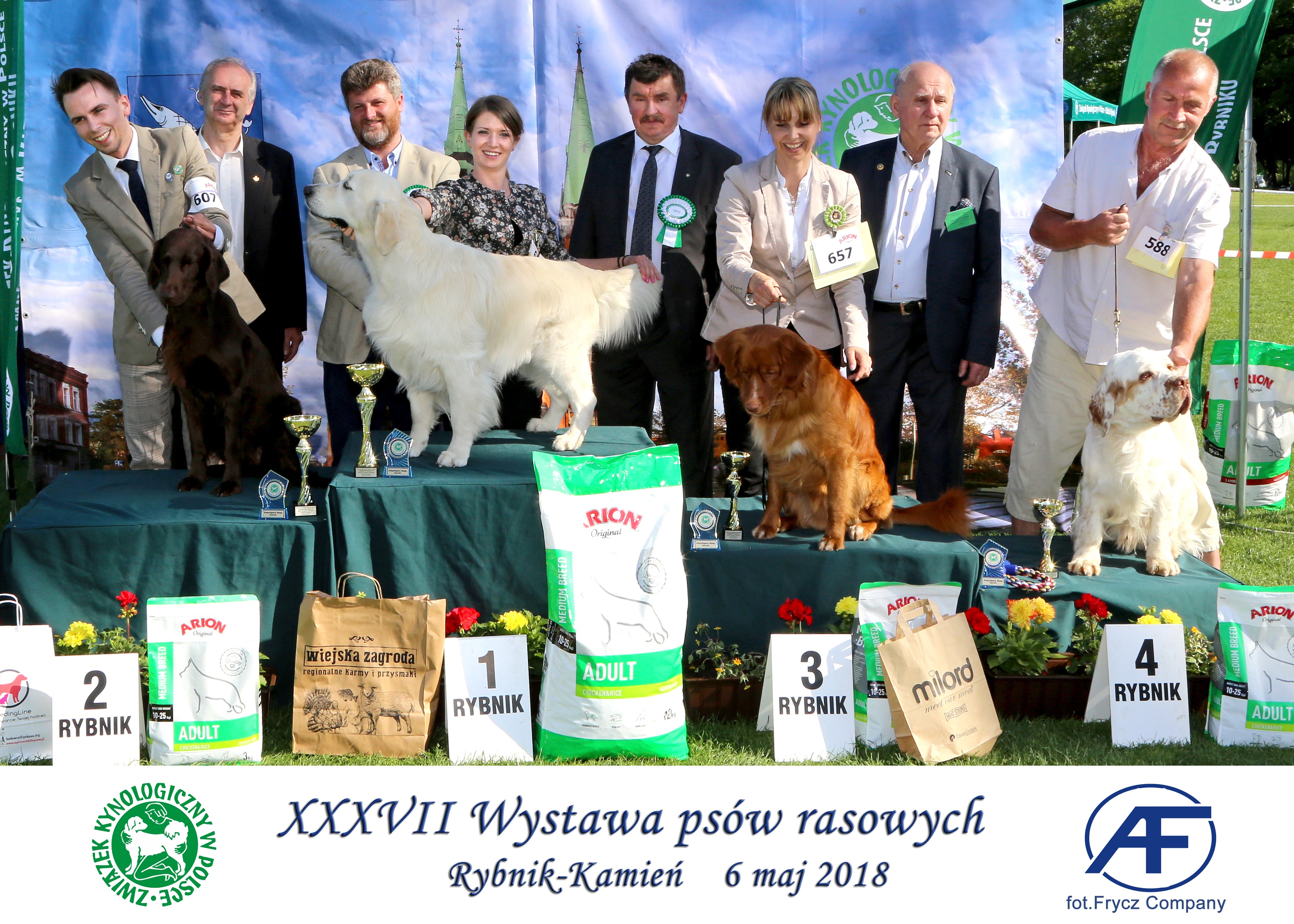 Krajowa Wystawa Psów Rasowych w Rybniku - 6.05.2018