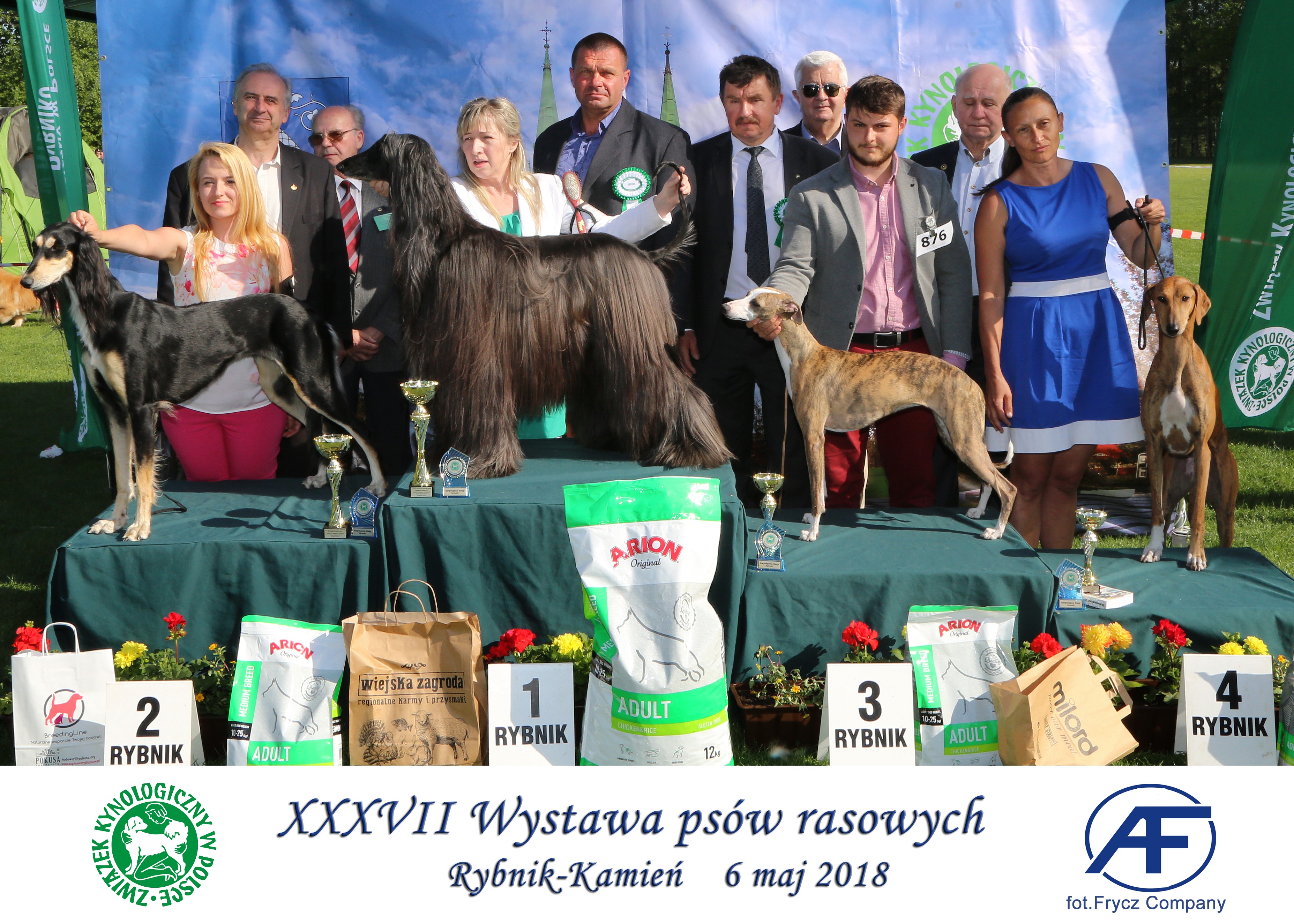 Krajowa Wystawa Psów Rasowych w Rybniku - 6.05.2018