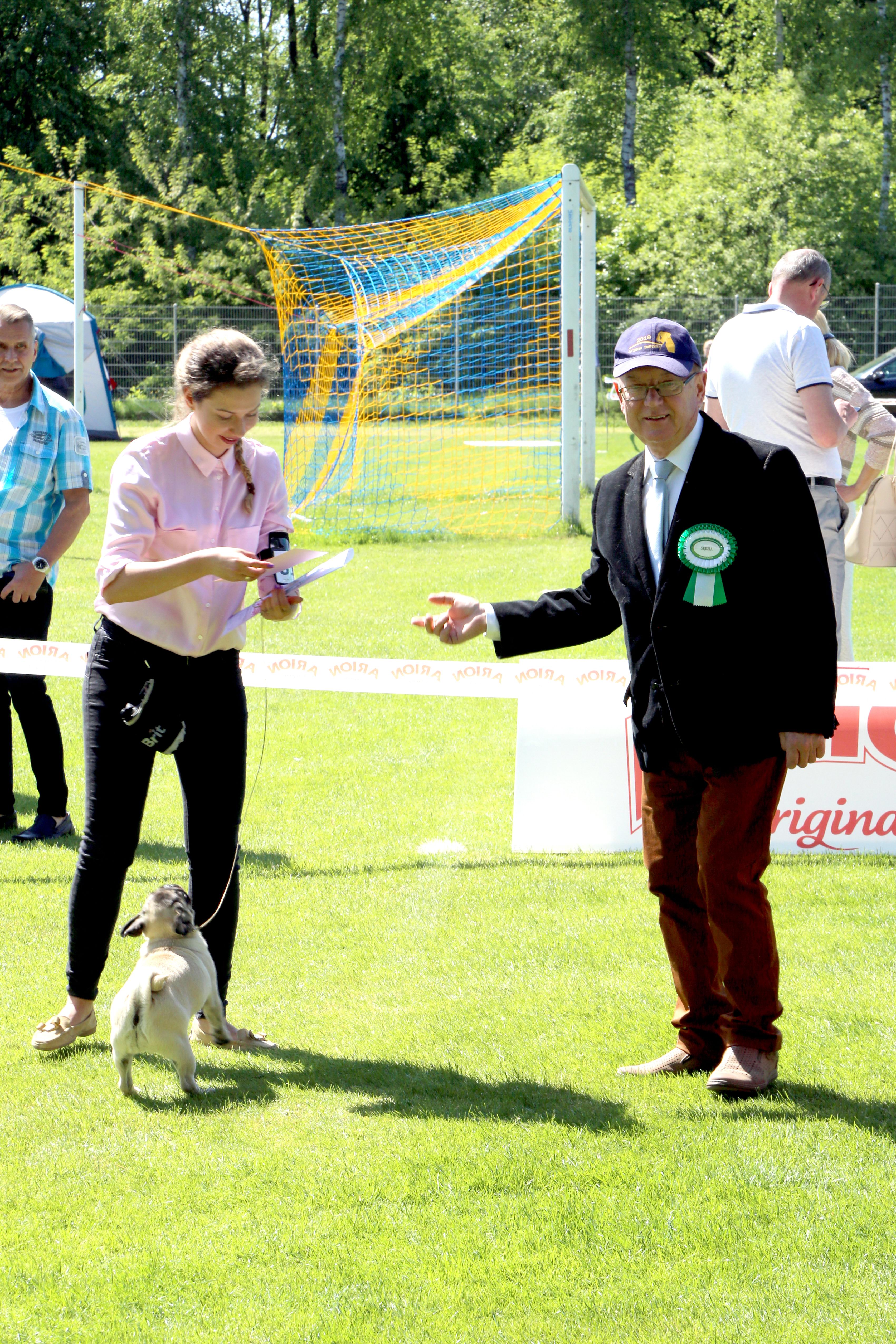 Krajowa Wystawa Psów Rasowych w Rybniku - 6.05.2018
