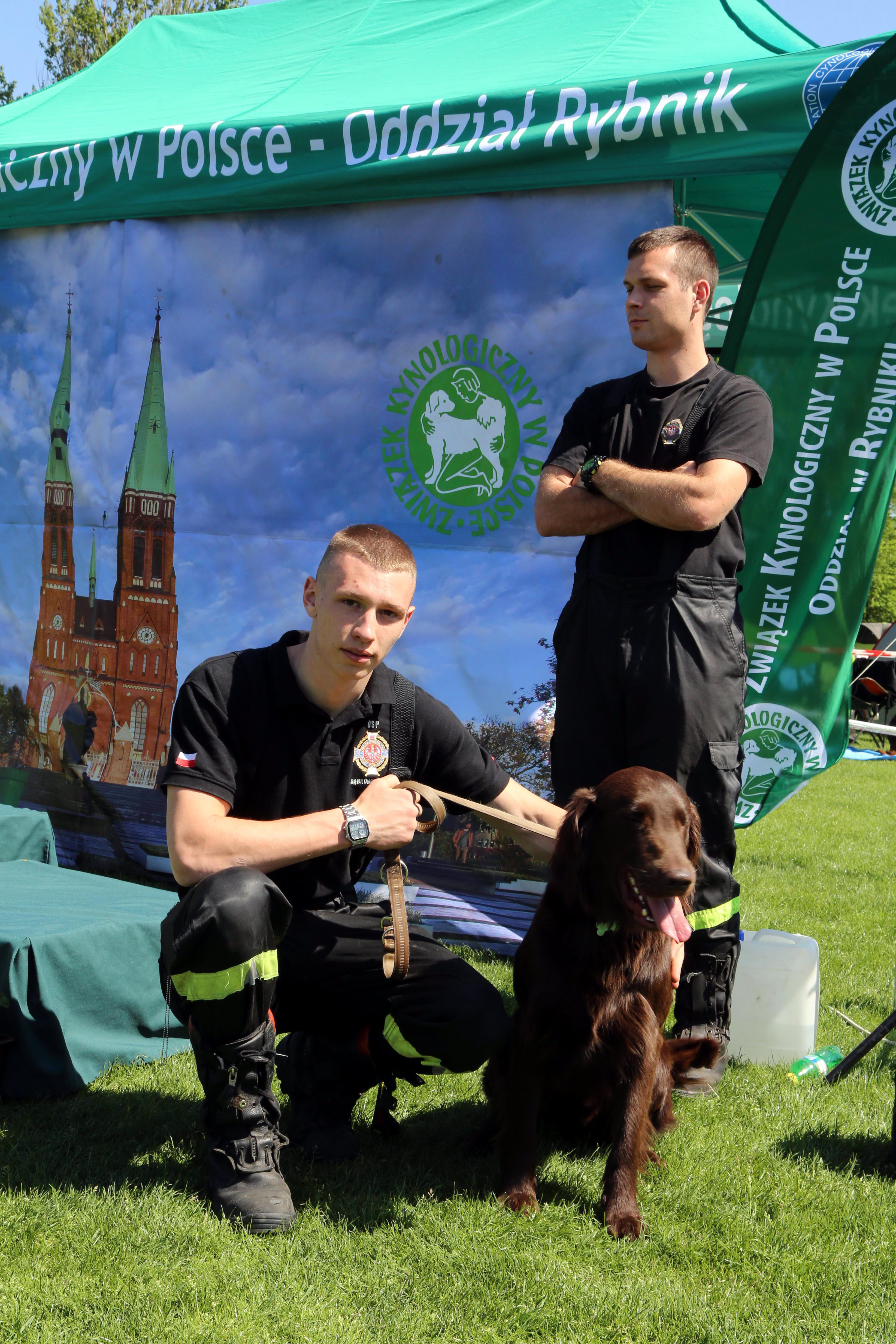 Krajowa Wystawa Psów Rasowych w Rybniku - 6.05.2018