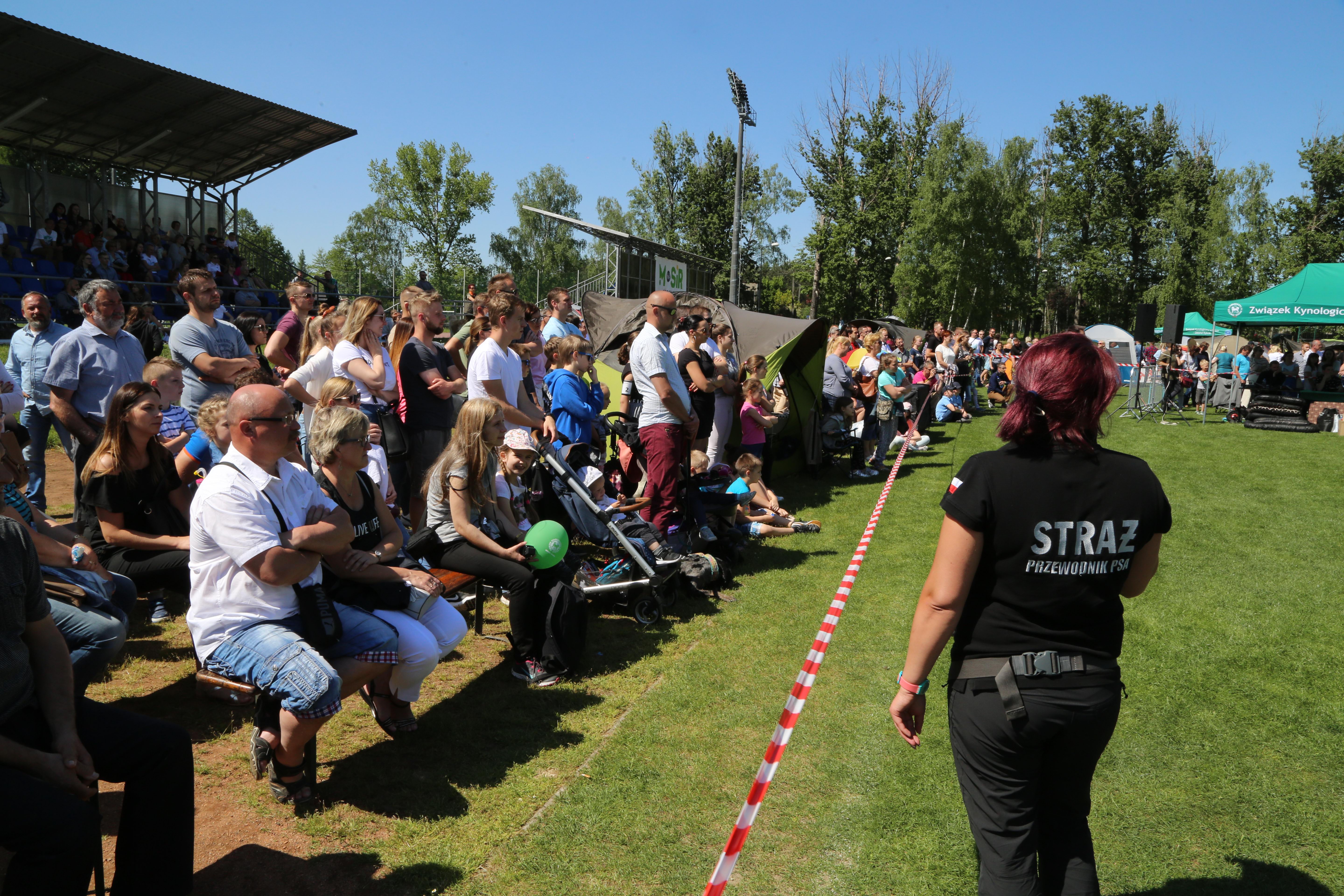 Krajowa Wystawa Psów Rasowych w Rybniku - 6.05.2018