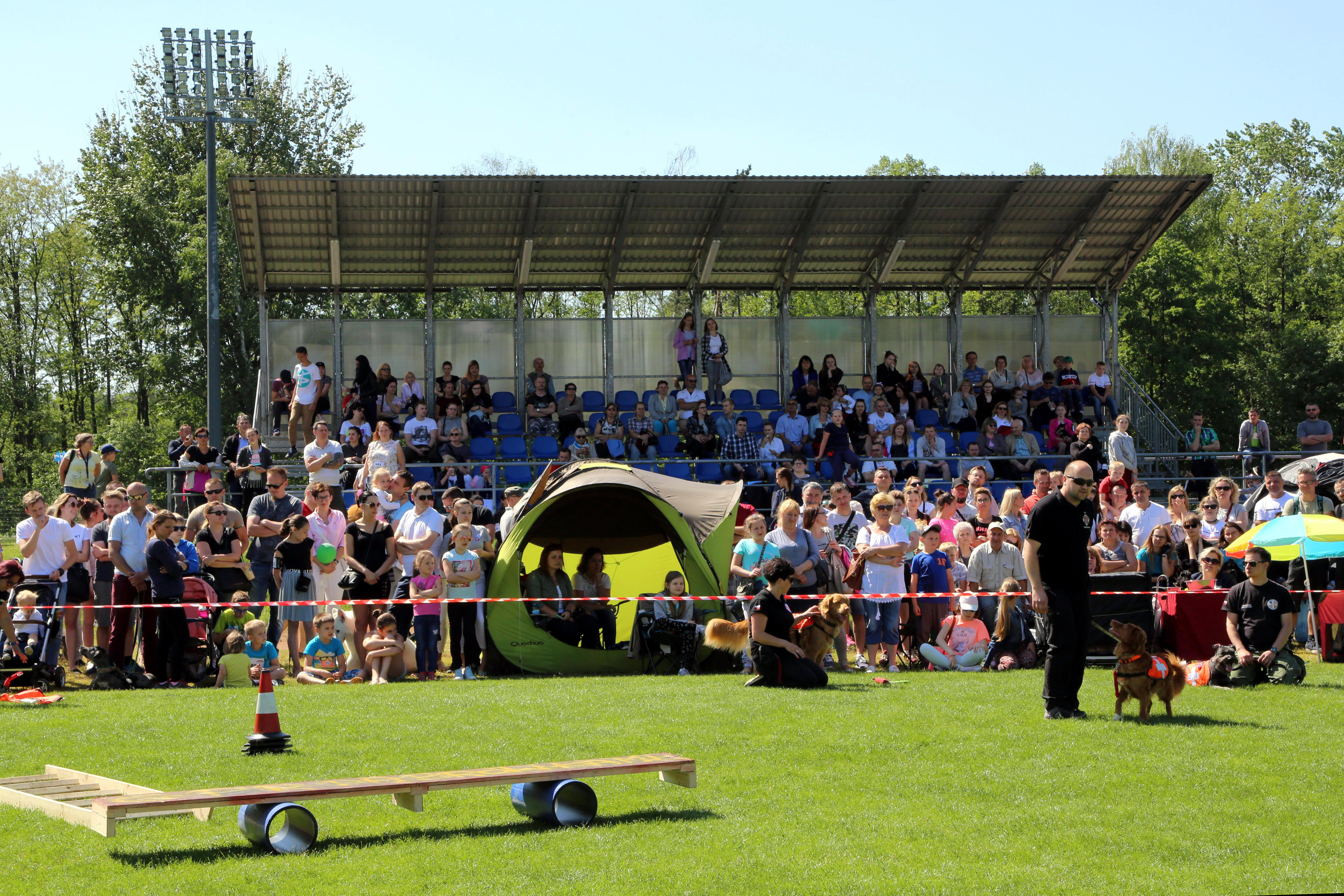 Krajowa Wystawa Psów Rasowych w Rybniku - 6.05.2018