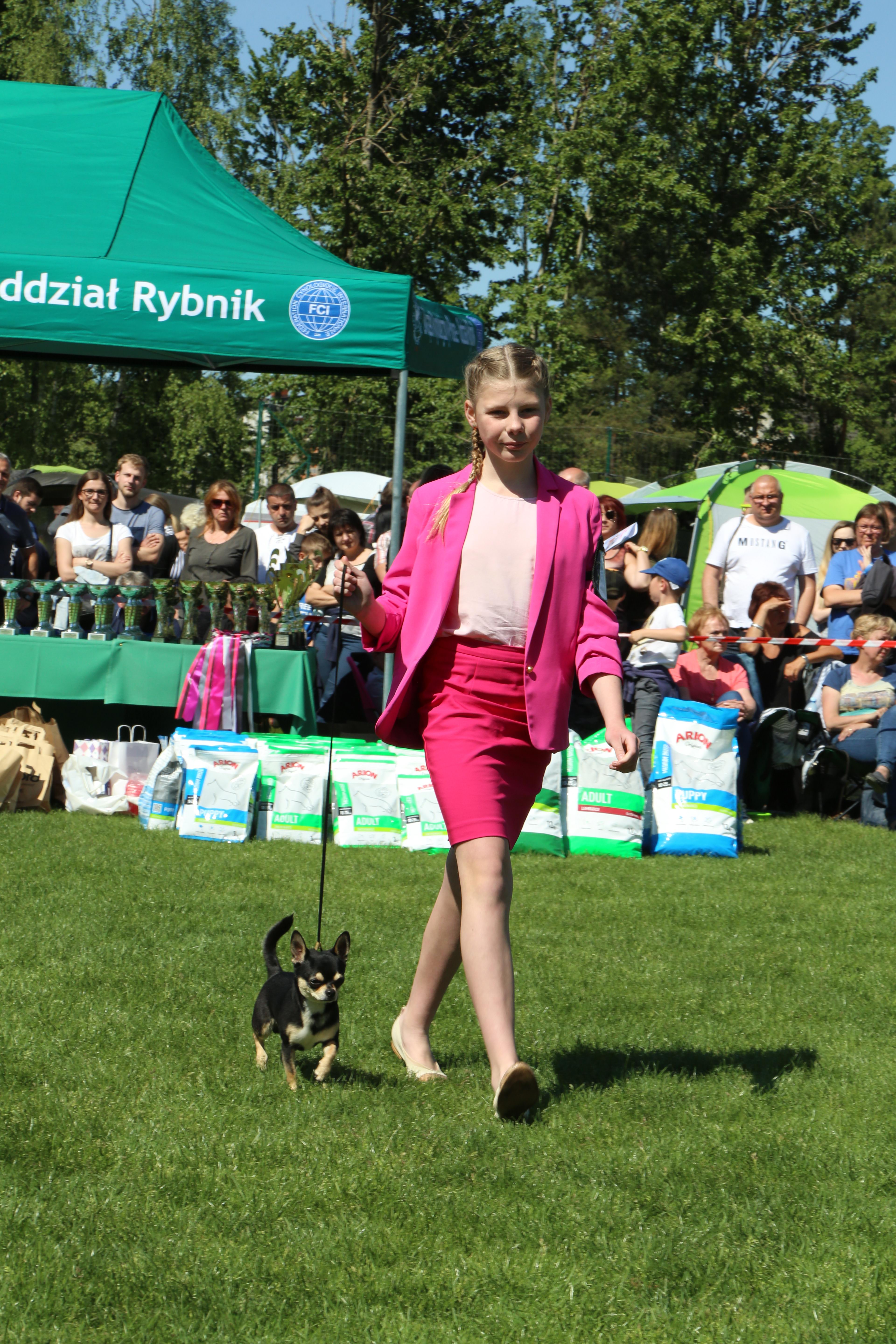 Krajowa Wystawa Psów Rasowych w Rybniku - 6.05.2018