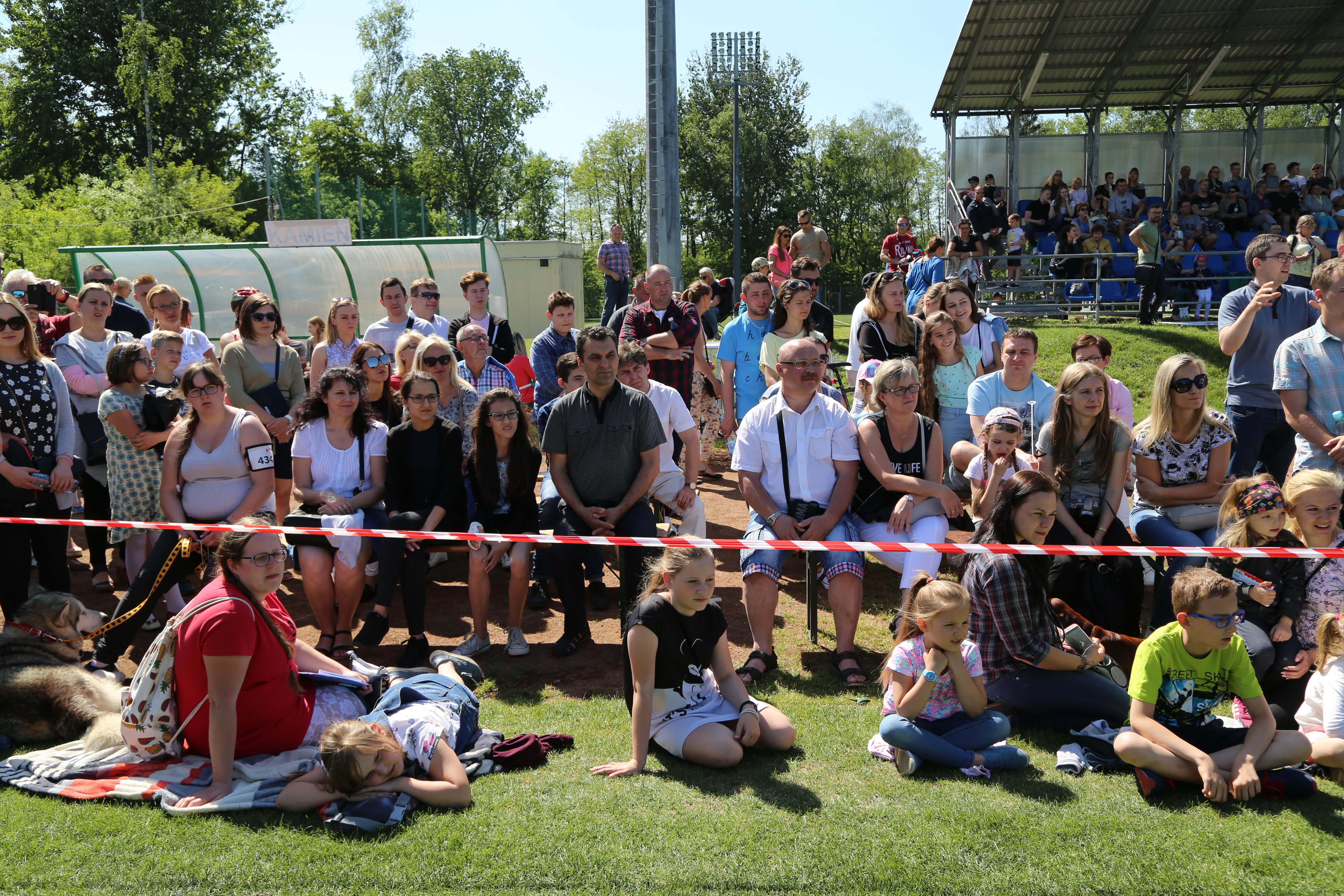 Krajowa Wystawa Psów Rasowych w Rybniku - 6.05.2018