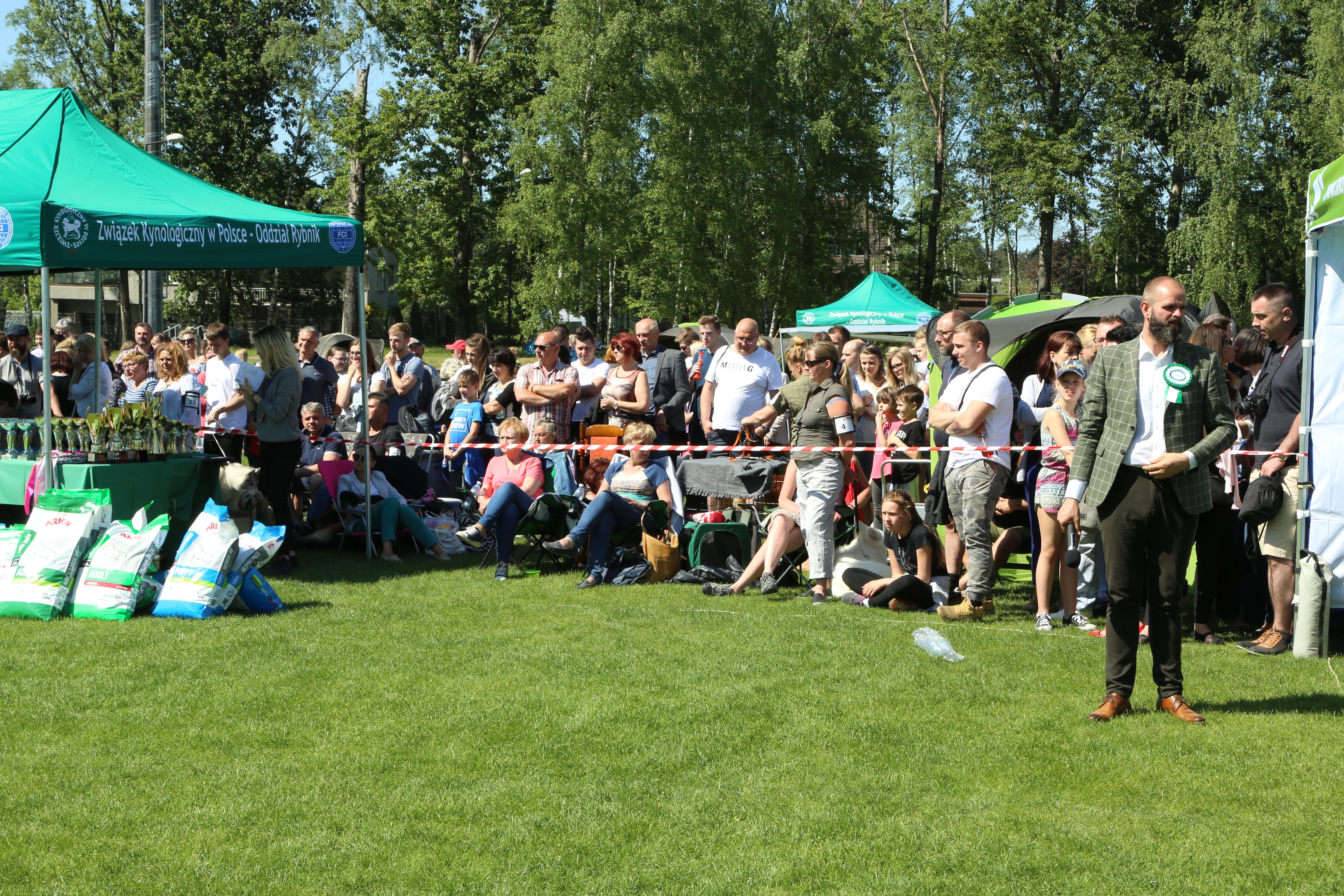 Krajowa Wystawa Psów Rasowych w Rybniku - 6.05.2018