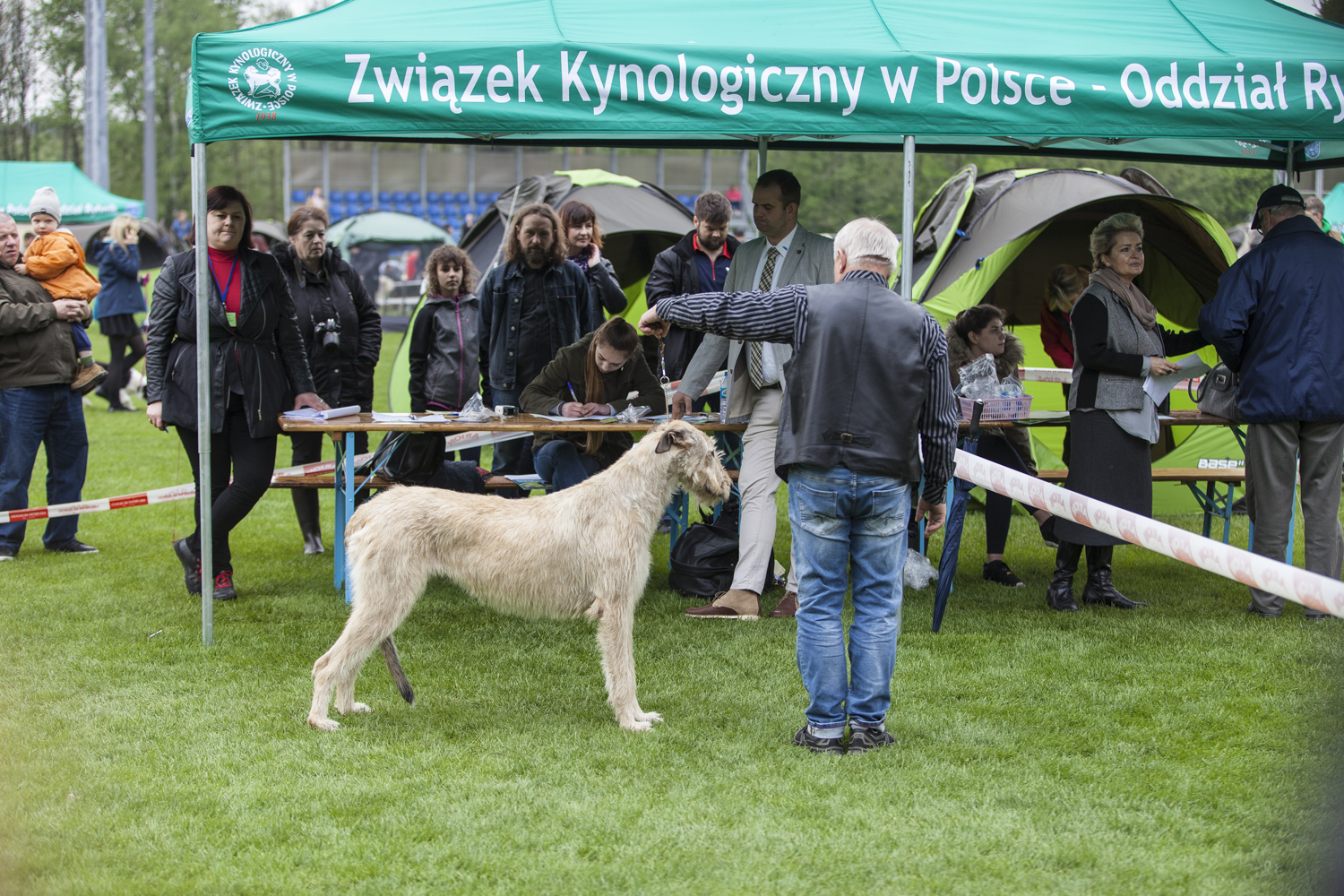 XXXV KRAJOWA WYSTAWA PSÓW RASOWYCH, 7.05.2017