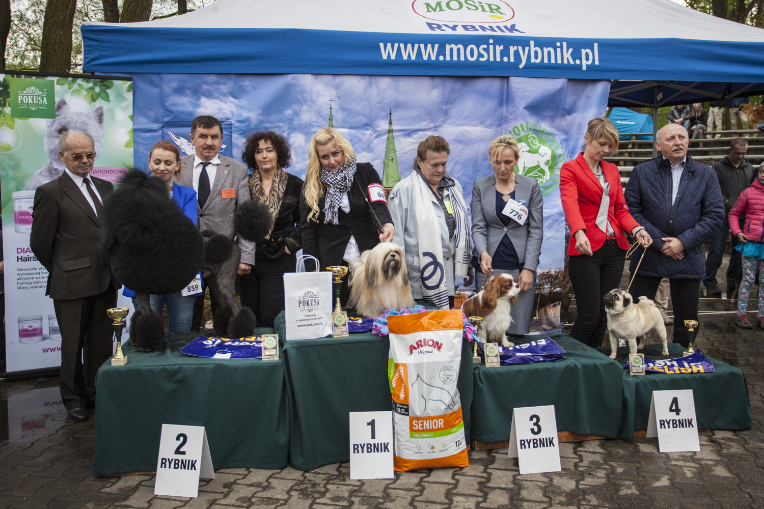 XXXV Krajowa Wystawa Psów Rasowych