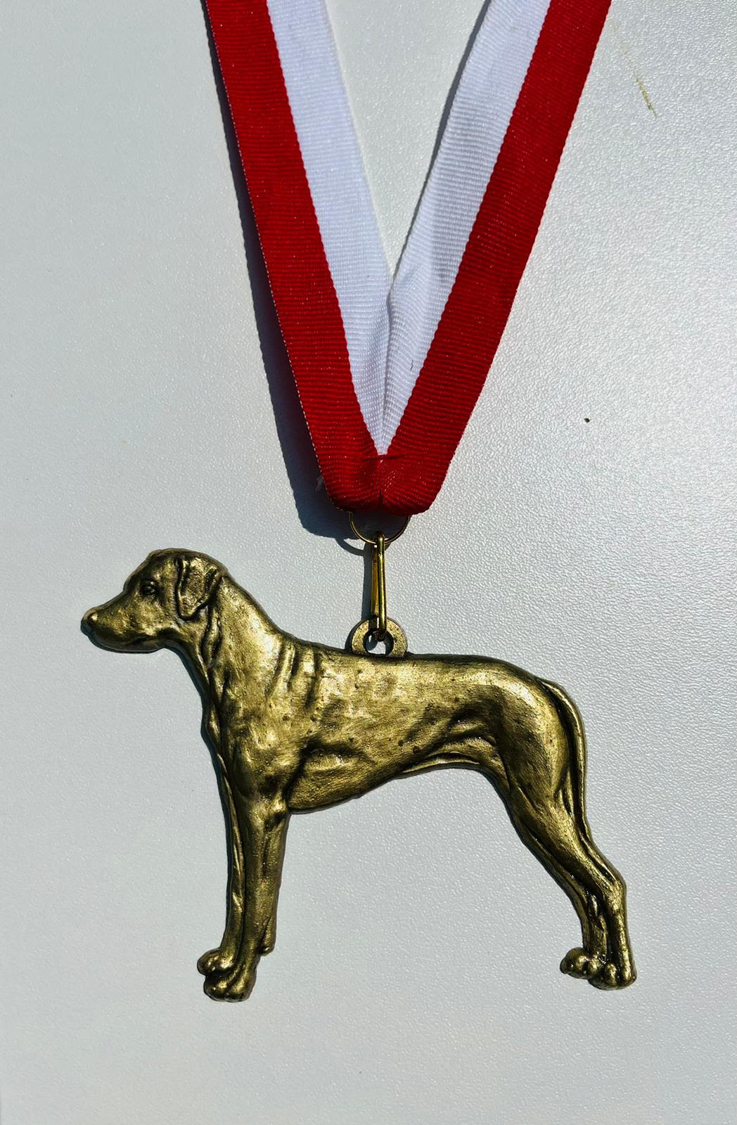 Złoto